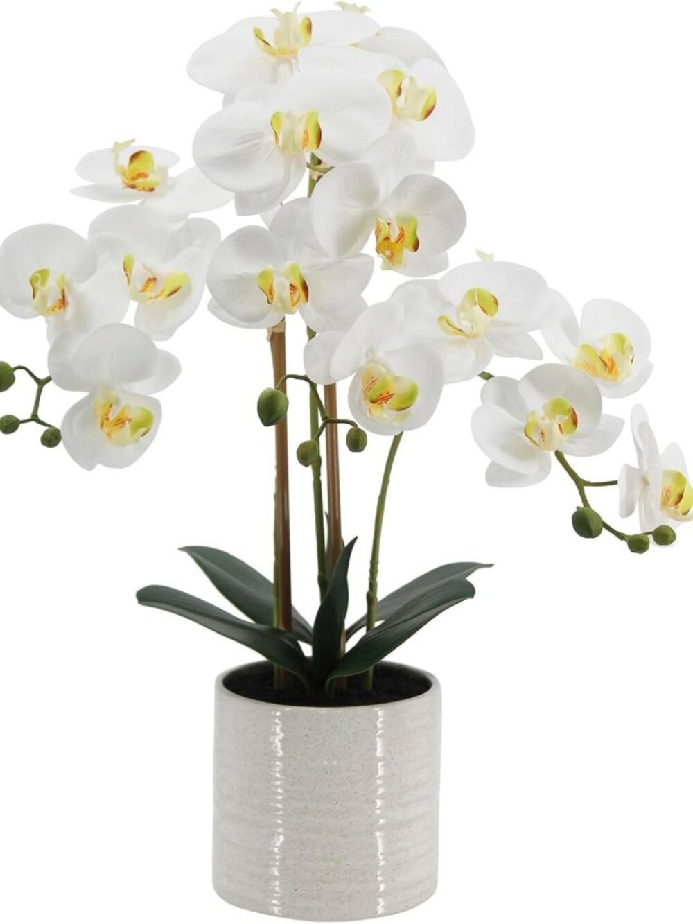 Realistic 23" Fake Orchid Plant with Touch Leaves, Potted Indoor Decor for Home